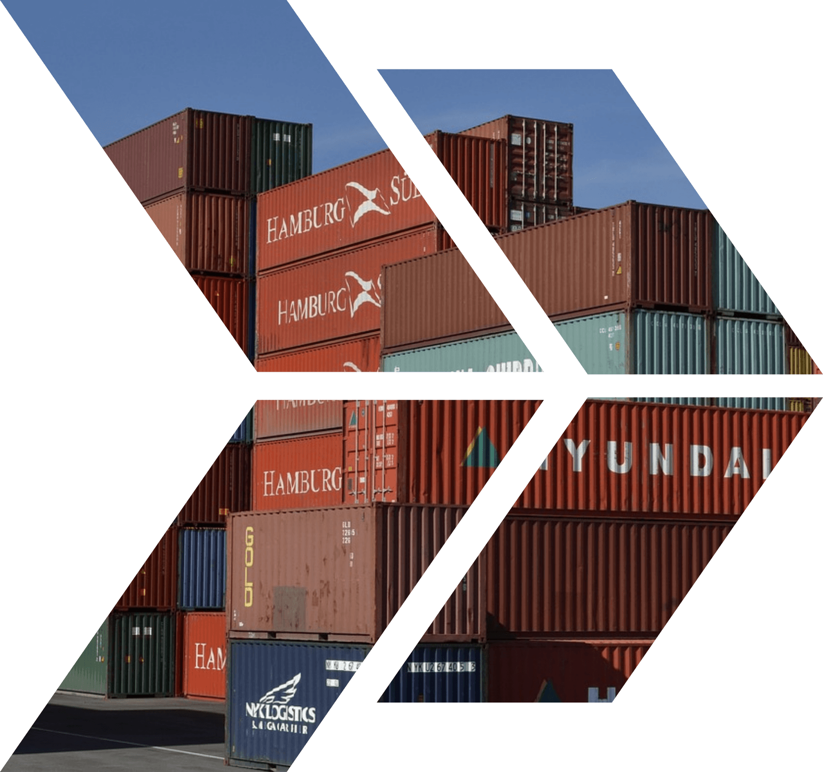 ENORM International - Indian Spice Exporter